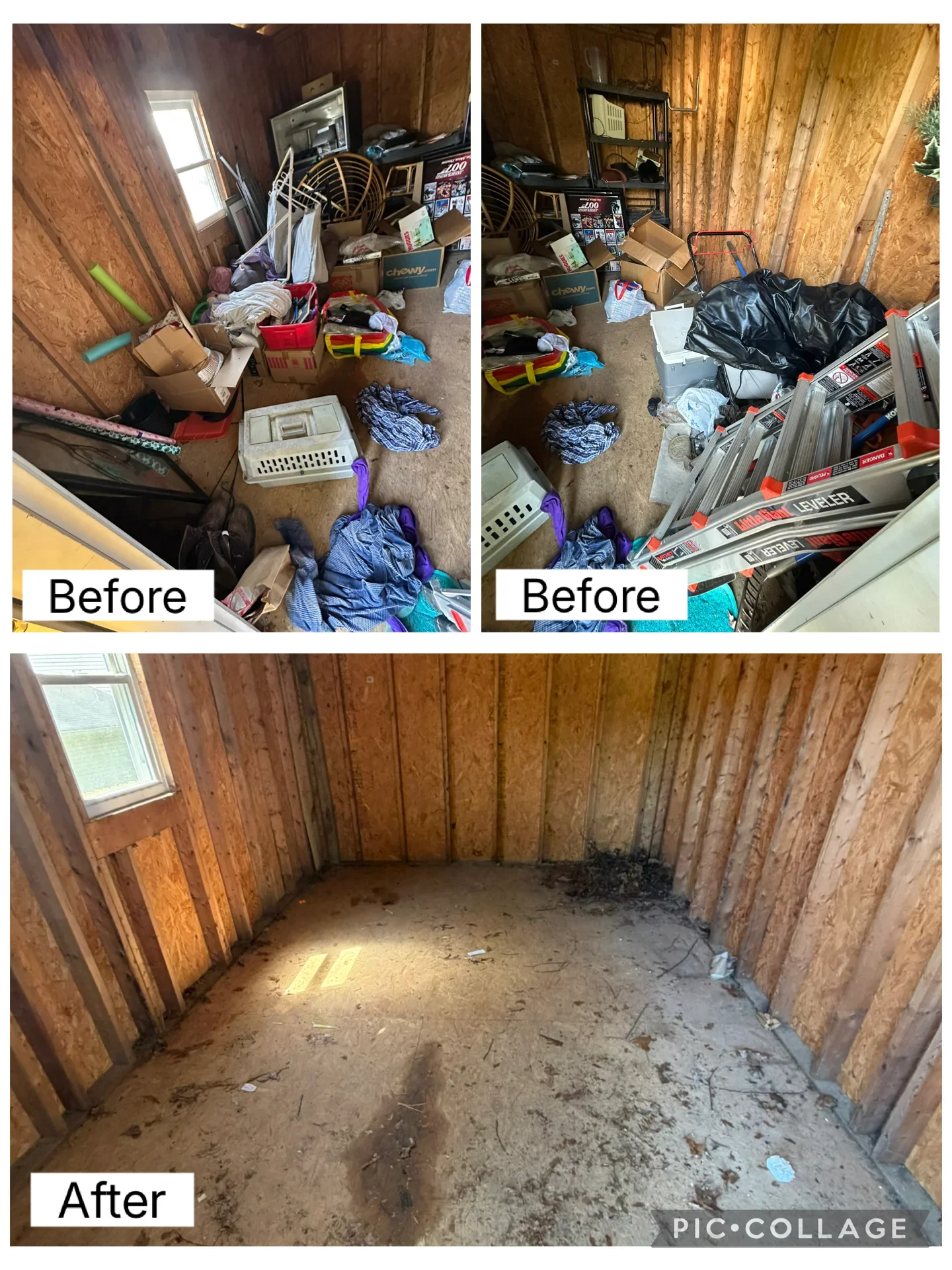 Wooden shed interior cleared of clutter, exposing concrete floor and wood-paneled walls