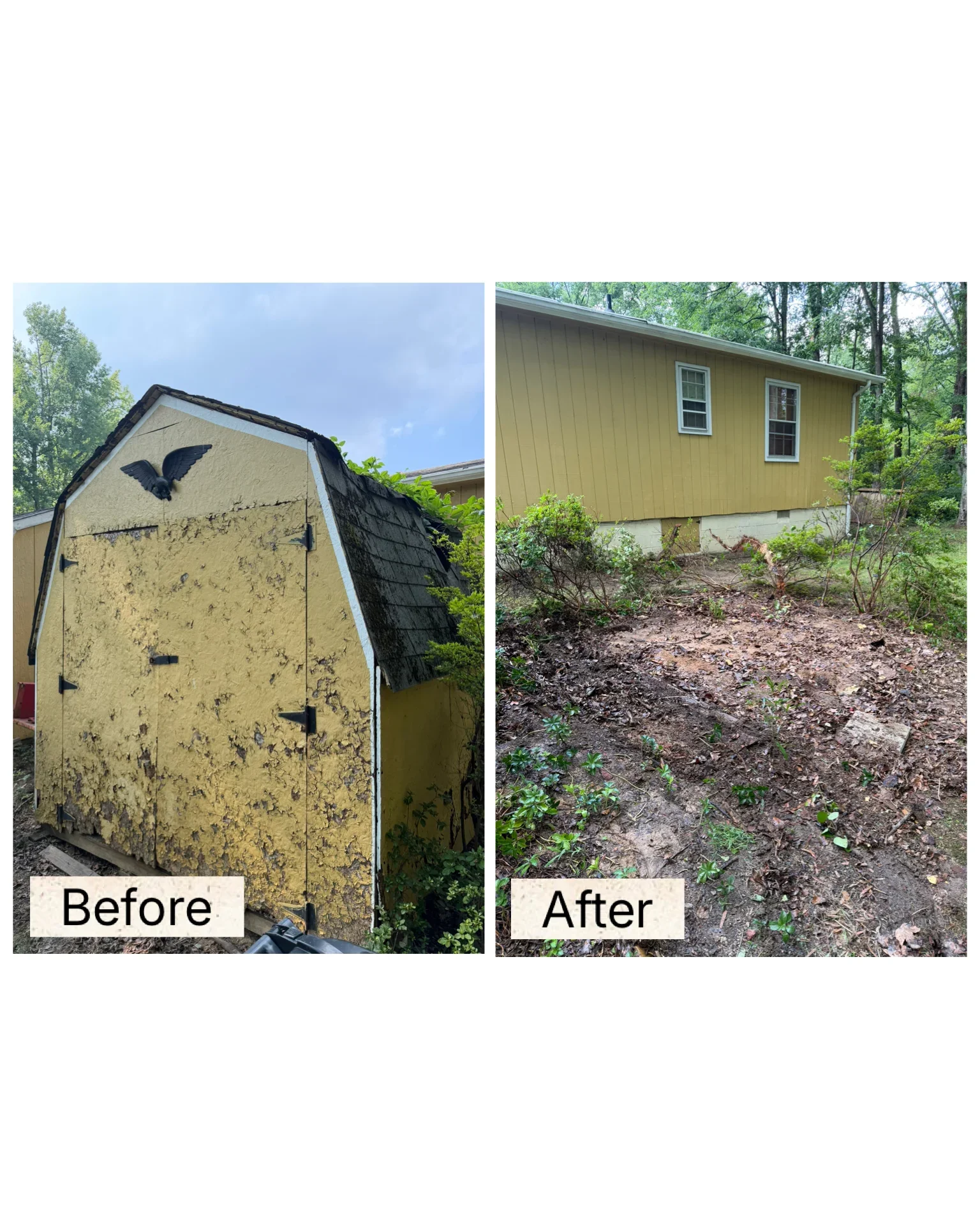 Before and after shed removal showing deteriorated yellow structure replaced with cleared yard space