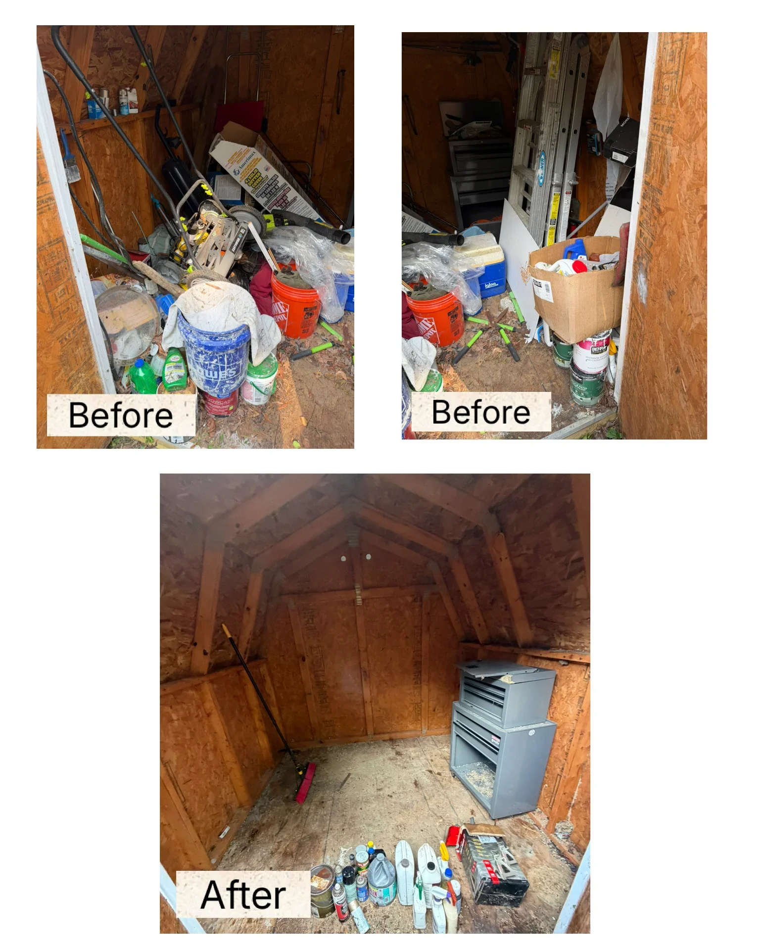 Wooden shed interior cleared of clutter, showing exposed beam framing and organized floor space
