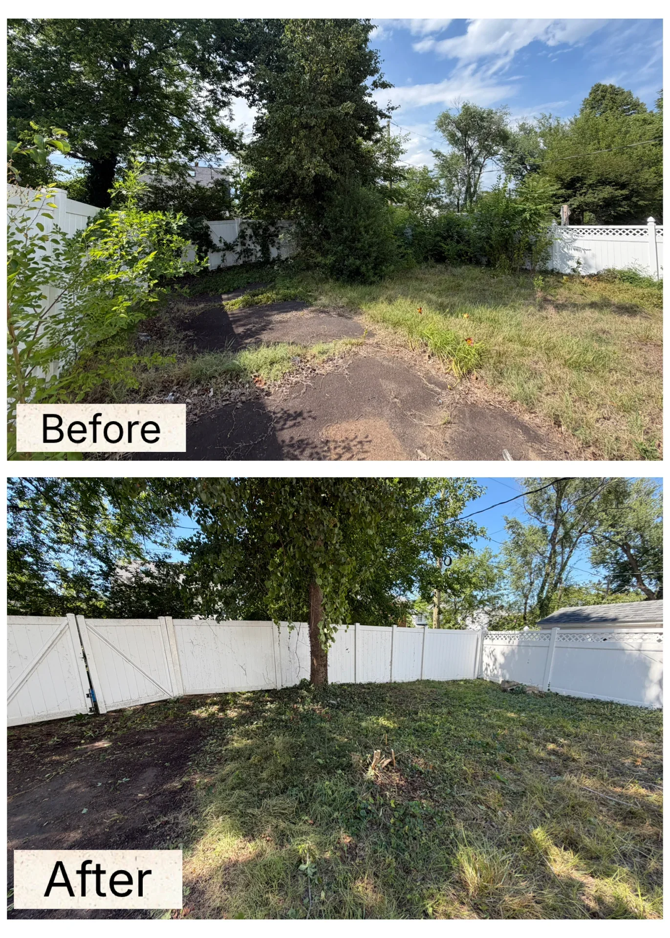 Before and after yard cleanup showing debris removal and overgrown vegetation cleared from residential backyard