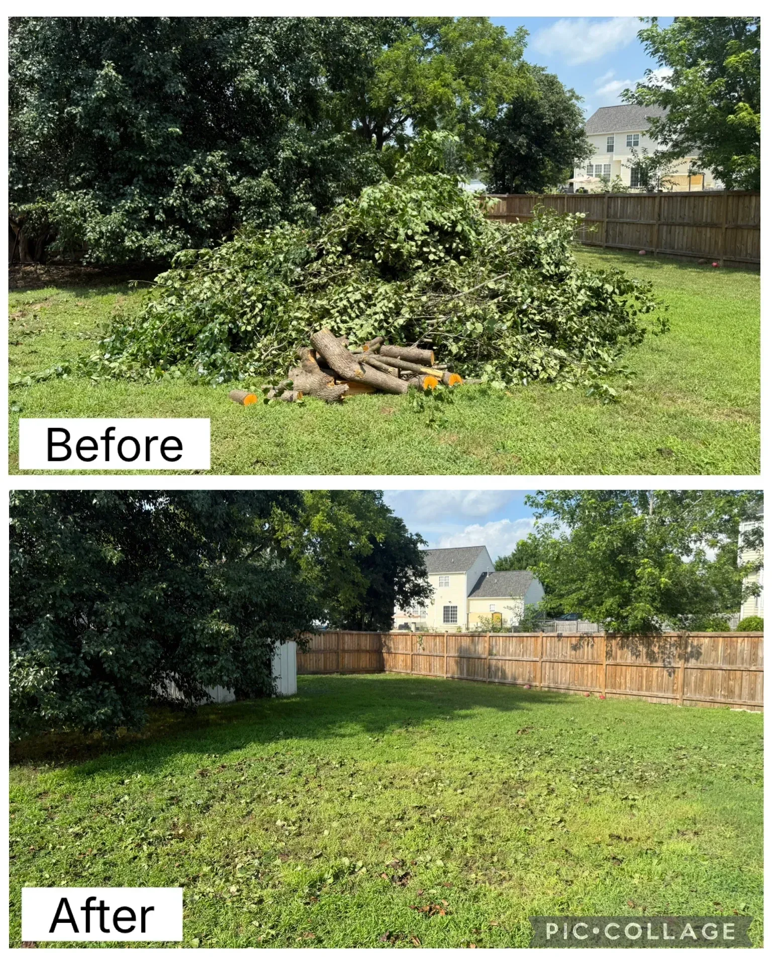 A cleared residential backyard in Fredericksburg, VA with a pile of branches, leaves, and brush debris loaded into a haul truck by Anderson Removal LLC. The lawn is visible and open after yard waste removal service.